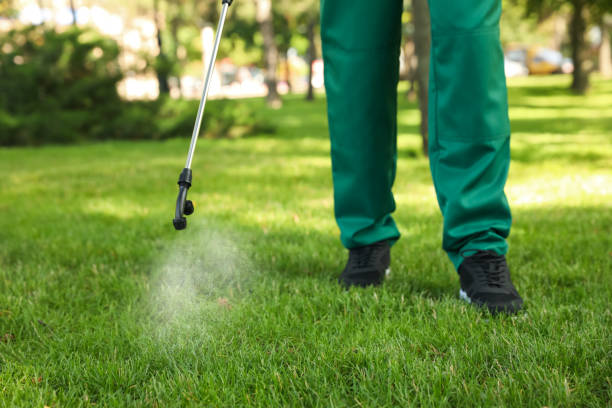 Professional Pest Control in Seaford, DE